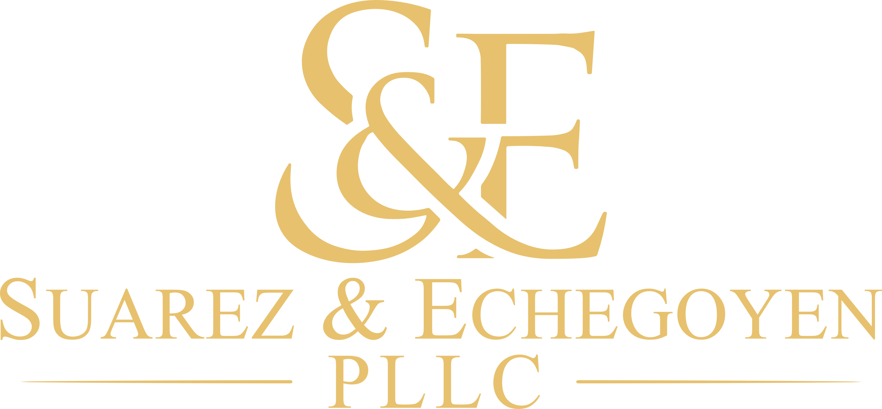 Suarez & Echegoyen, PLLC